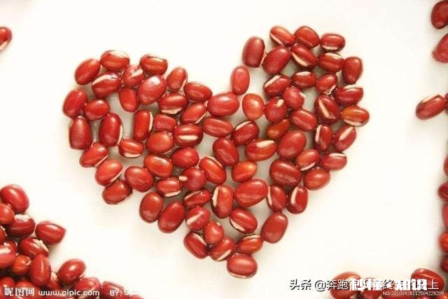 两情若是久长时,又岂在朝朝暮暮您认同吗为什么