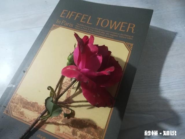 两情若是久长时,又岂在朝朝暮暮您认同吗为什么