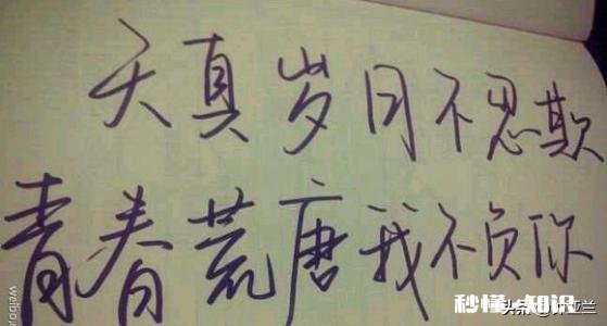你用过最贵最奢侈的手机是什么手机当时买手机用掉了你多少收入