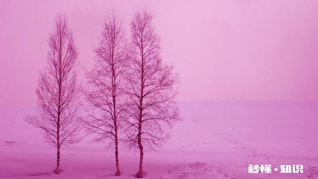 结婚后没有共同话题该如何避免