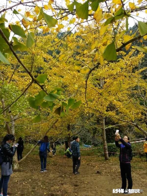 八零后大军中的我们,有没有活成自己想要的生活,还有多少人像我一样处于迷茫阶段中