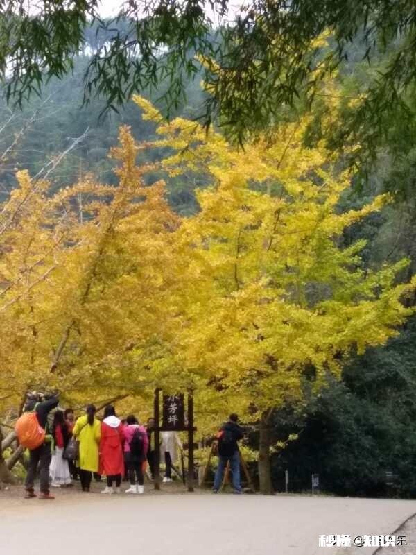 八零后大军中的我们,有没有活成自己想要的生活,还有多少人像我一样处于迷茫阶段中