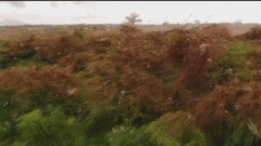 面对2020个人应如何完成预期的经济收入目标