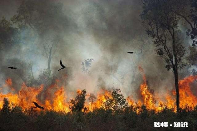 面对2020个人应如何完成预期的经济收入目标