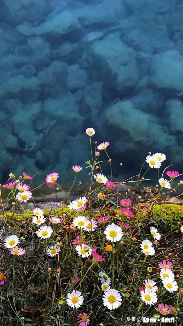 闺女不跟自己亲了，好伤心，好难过，怎么办
