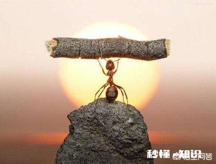 我想自己去开家店,不知道开什么店风险小一些,投资少一些,收入稳定一点的