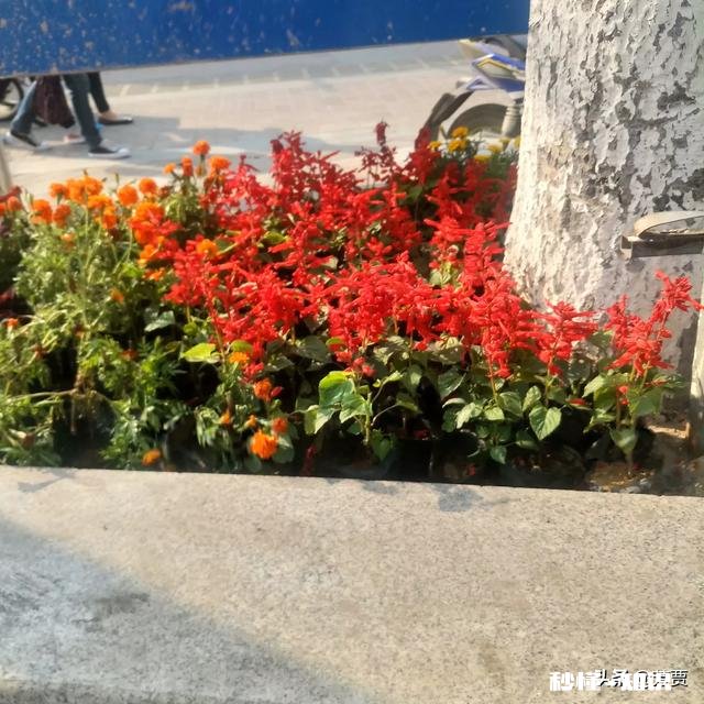 告诉条友,此时此刻你有多想念那个她