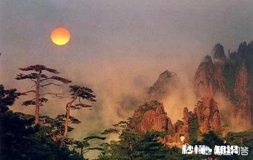 有哪些诗词是靠一句而“火”起来的