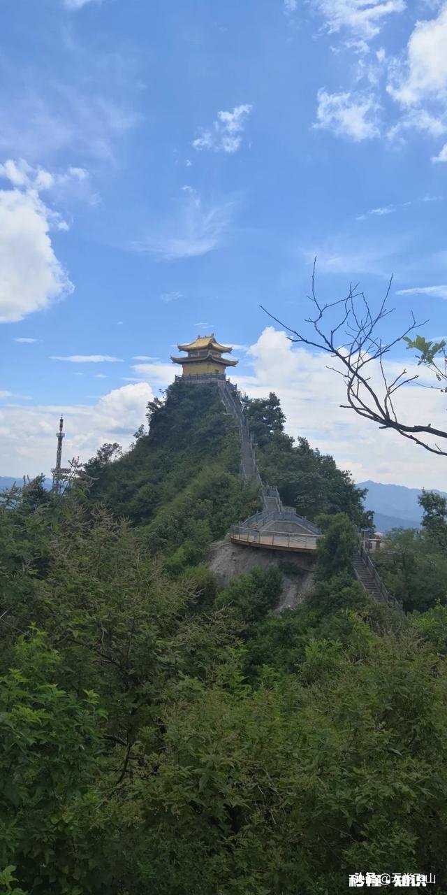 有哪些诗词是靠一句而“火”起来的