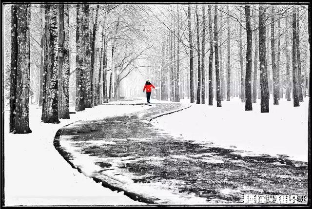 摄影怎么通过前期拍摄或后期修图,使照片更有艺术感