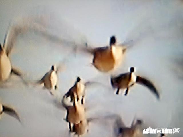 孩子自己能力不行到底是谁的错