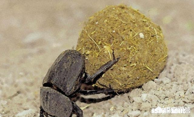 现实生活中,目前的你最想要什么