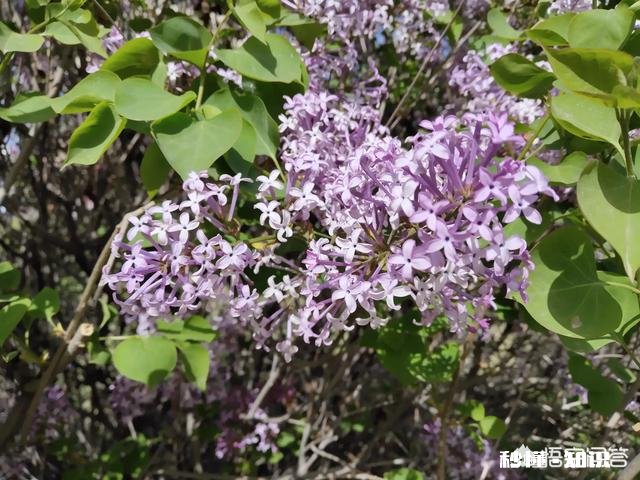 谁能秀一下你拍到的你认为最美的景色