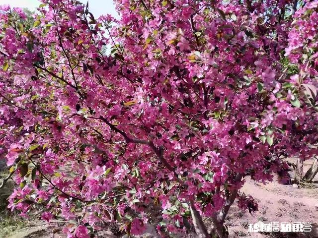 谁能秀一下你拍到的你认为最美的景色