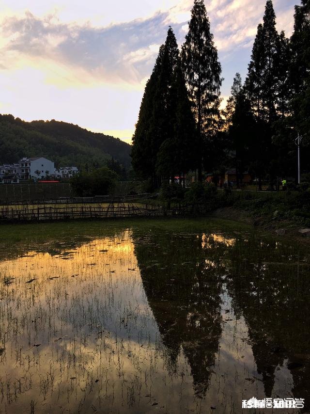 谁能秀一下你拍到的你认为最美的景色