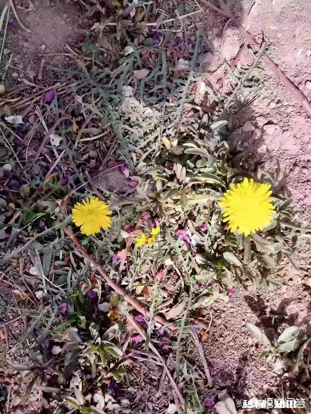 谁能秀一下你拍到的你认为最美的景色