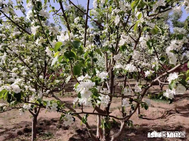 谁能秀一下你拍到的你认为最美的景色