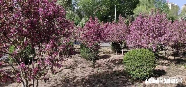 谁能秀一下你拍到的你认为最美的景色