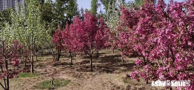 谁能秀一下你拍到的你认为最美的景色