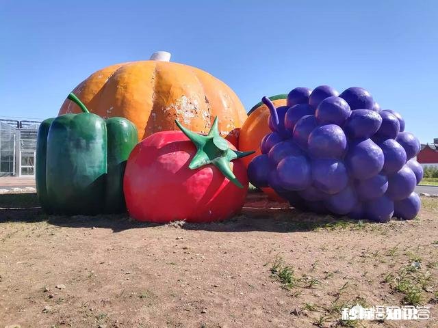 谁能秀一下你拍到的你认为最美的景色