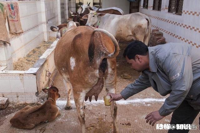 作为13亿的人口大国,物资匮乏卫生环境差,印度会有奇迹发生吗