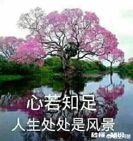 人生处在低谷时,如何保持好的心态