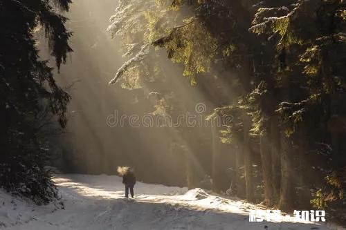 人生处在低谷时,如何保持好的心态