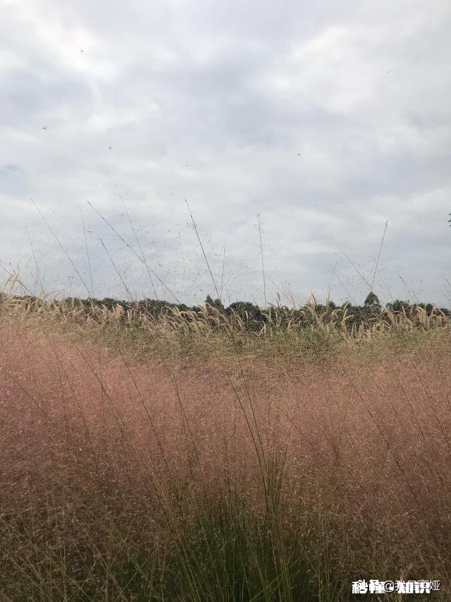 结婚这么多年了,细想一下,夫妻间有没有那么一刹那让你心寒过