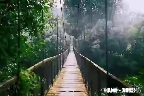 一段本就无结果的爱恋,那些人流着泪水的同时,为何脚步却依然前往