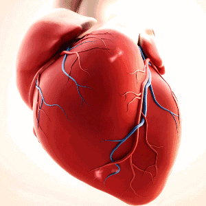 急性心肌梗死怎么判断