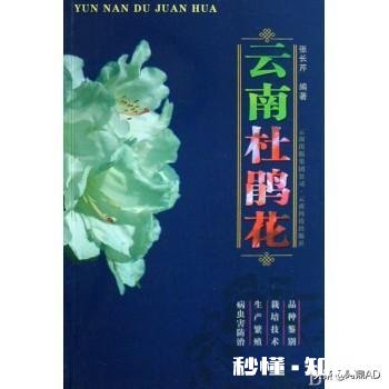 你知道哪些关于杜鹃花的冷知识