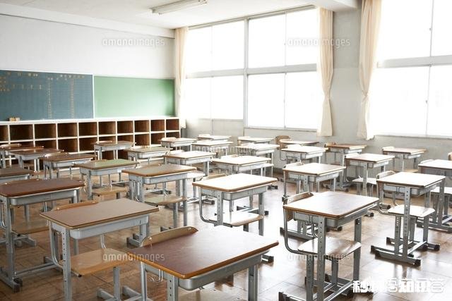 这些教育机构能撑到夏天嘛