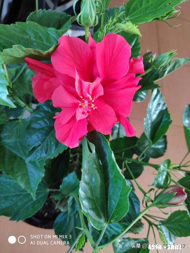 父亲生病该不该请假回家