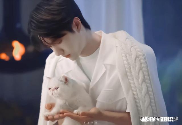 那些年王一博拍过的广告vlog，哪个最让你心动