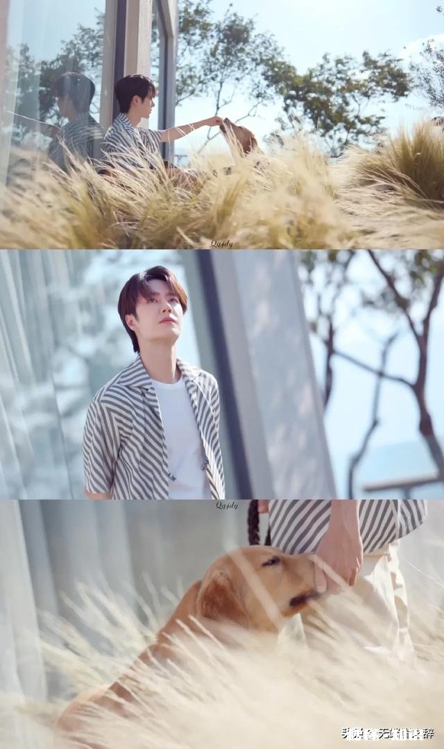 那些年王一博拍过的广告vlog，哪个最让你心动