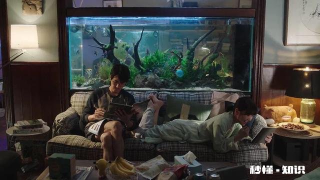 三十而已，这部剧！是不是给你带来了感悟