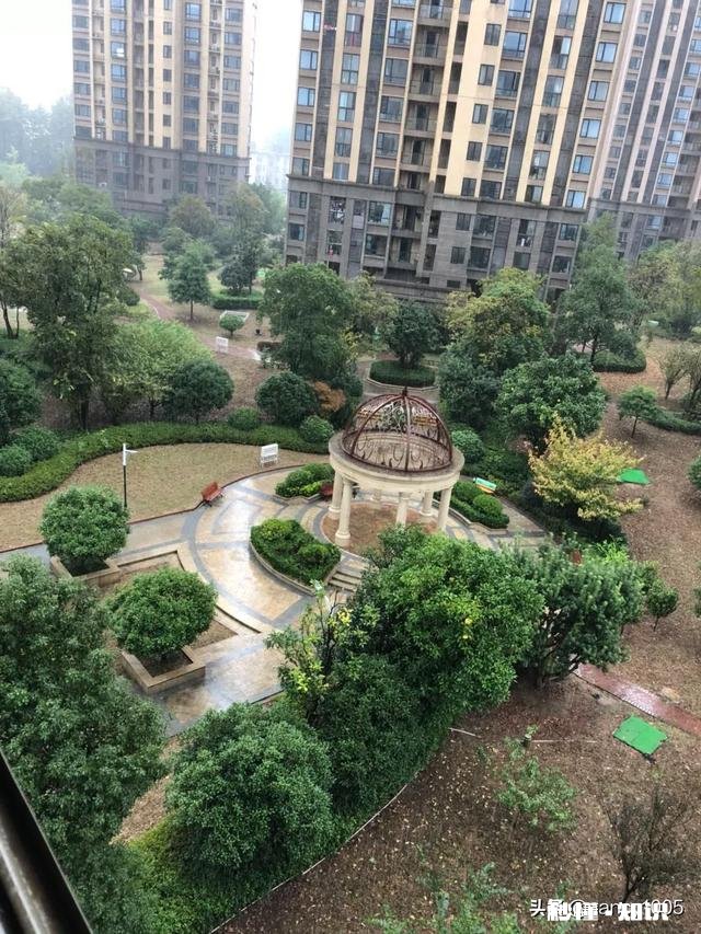 孩子学画画两年了可是我觉得孩子并没有什么长进，这不是白学了，大家有什么好的建议吗