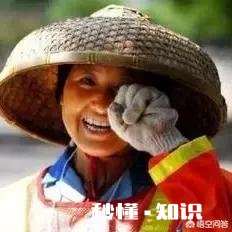 你觉得怎么才能过得开心自在