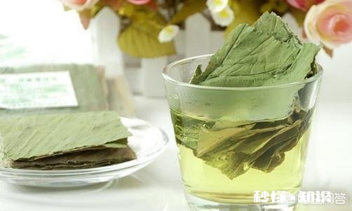 农村鱼塘里的荷叶多，它可以用来做什么