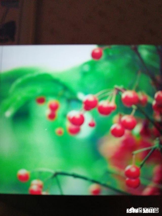 女朋友总是无理取闹，你们都是怎么应对的