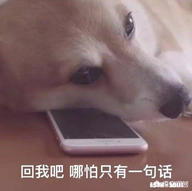 女朋友总是无理取闹，你们都是怎么应对的