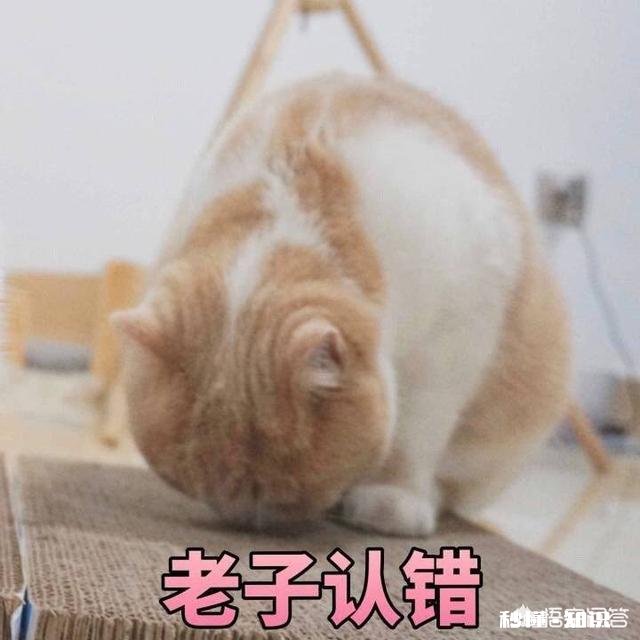 女朋友总是无理取闹，你们都是怎么应对的