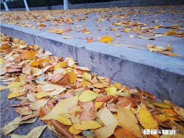 发生疫情哪个行业损失最大