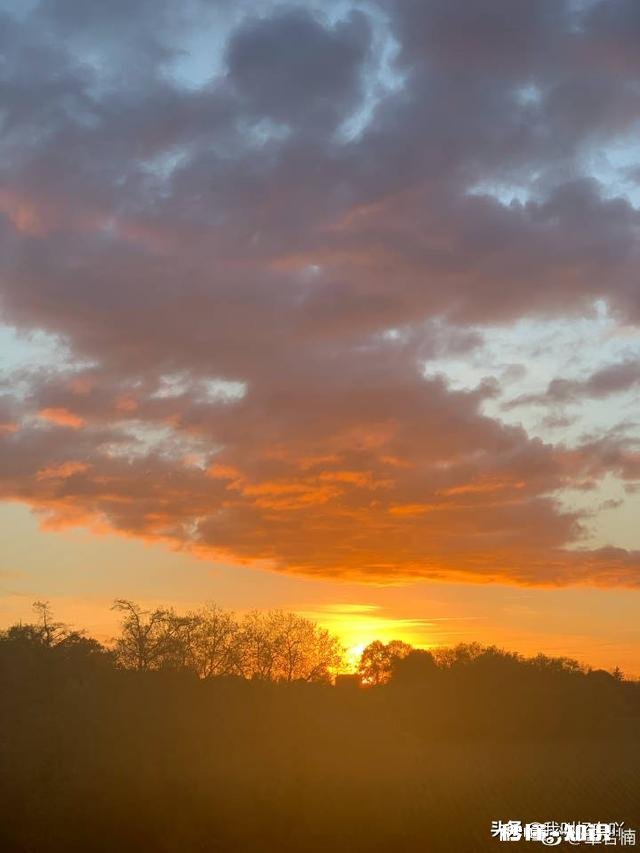 发生疫情哪个行业损失最大