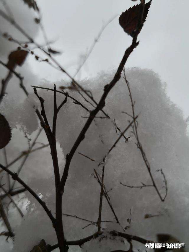 因为疫情待在家，有没有像我这样疯狂想回公司上班的，你又是怎样的状态呢