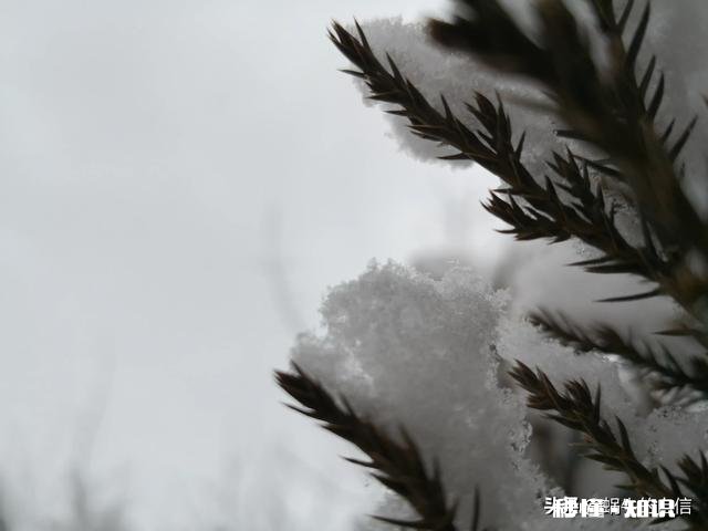 因为疫情待在家，有没有像我这样疯狂想回公司上班的，你又是怎样的状态呢