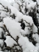 因为疫情待在家，有没有像我这样疯狂想回公司上班的，你又是怎样的状态呢