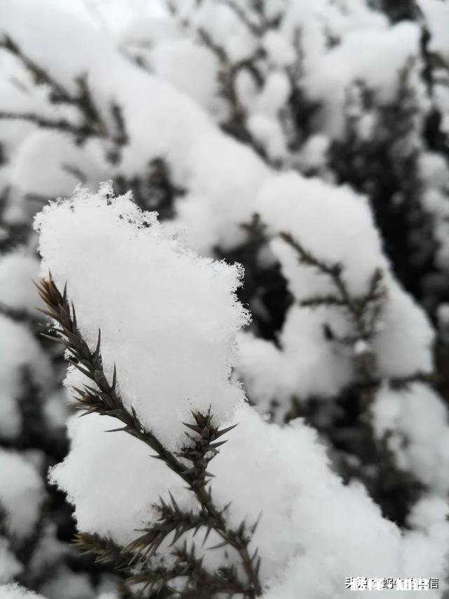 因为疫情待在家，有没有像我这样疯狂想回公司上班的，你又是怎样的状态呢