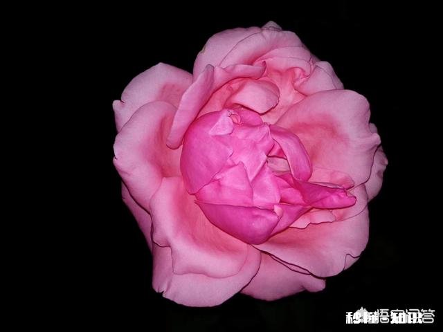 夜晚的时候睡不着你会干什么