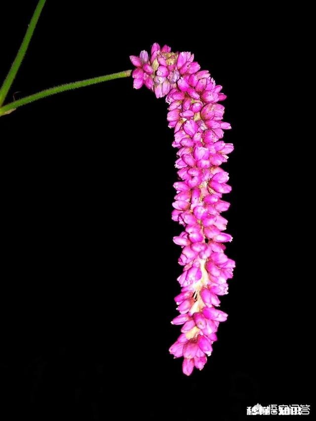 夜晚的时候睡不着你会干什么